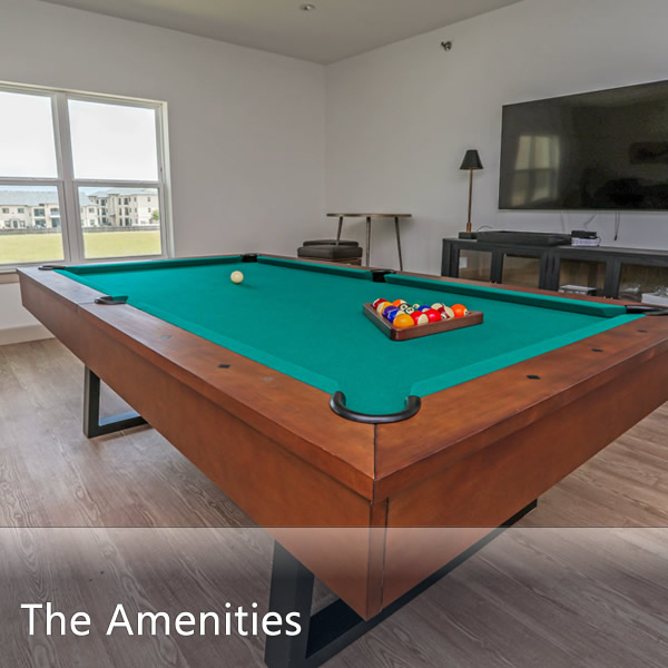 Features & Amenities
